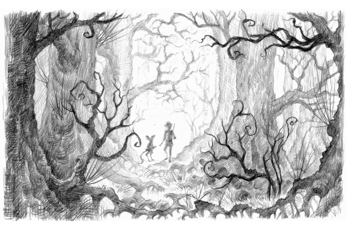 Заколдованный рисунок. Лес карандашом. Мистические рисунки. Лес картинки карандашом. Заколдованный лес рисунок.