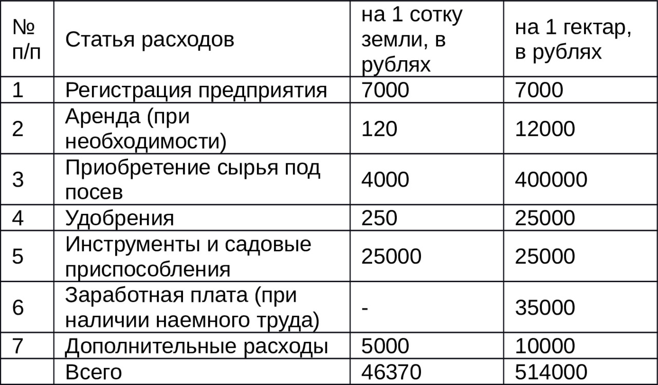 Бизнес план по выращиванию чеснока с расчетами