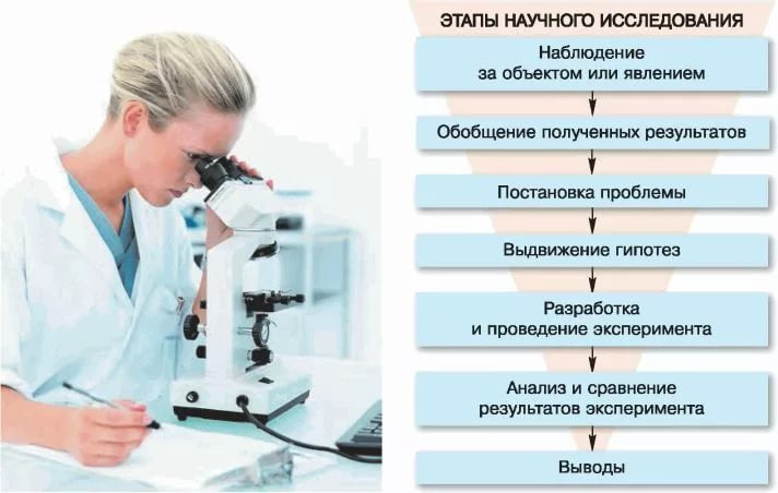 Этапы научного исследования в биологии 10 класс