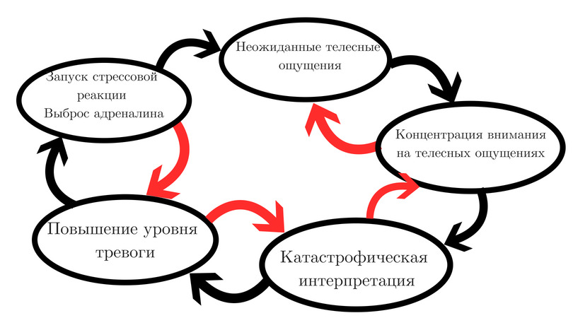 Кпт при панических атаках схема