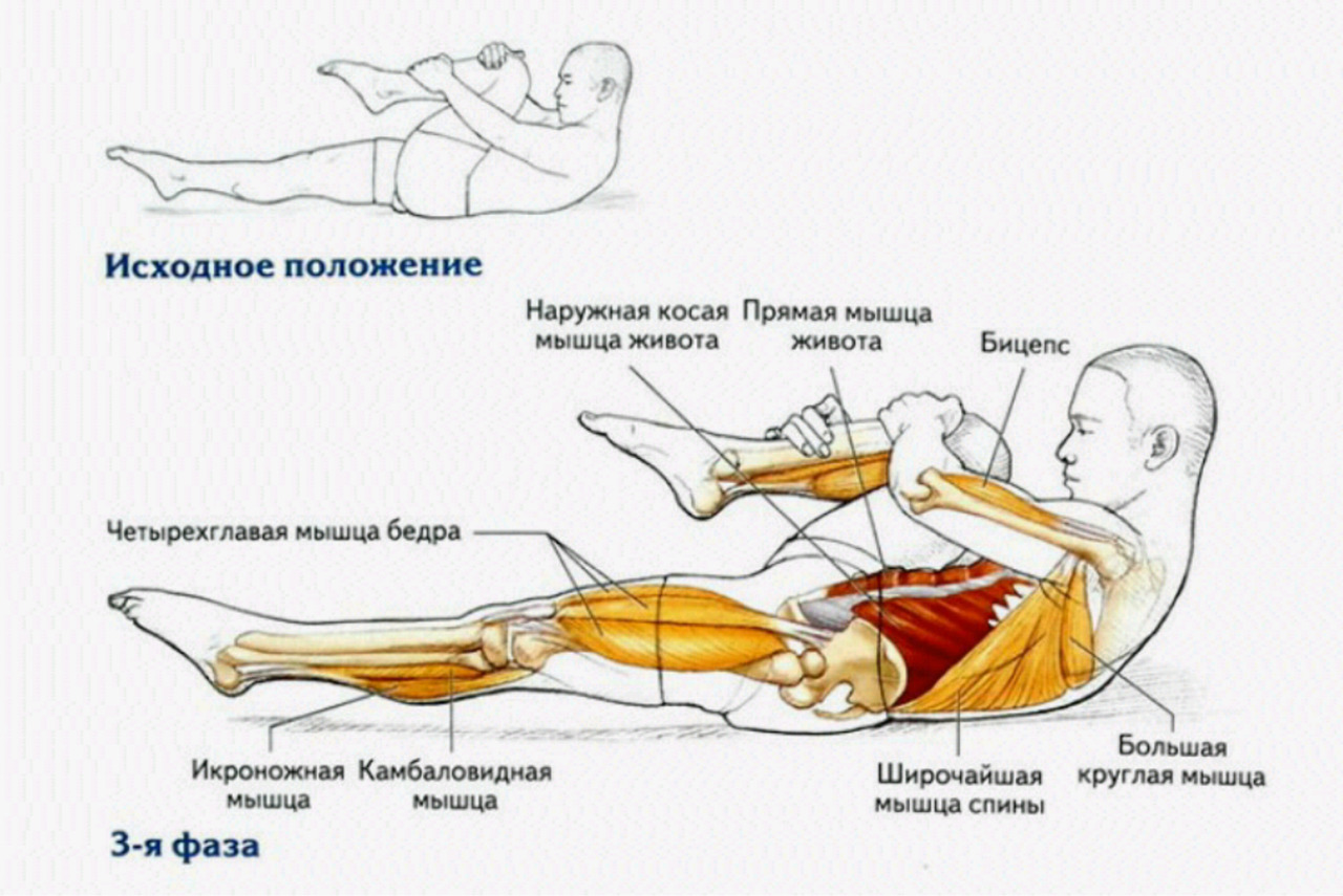 Растяжка мышц