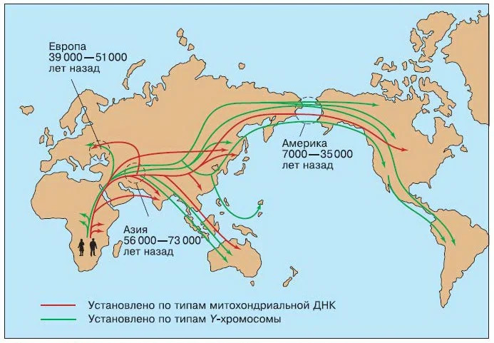 Схема заселения материков первобытными людьми