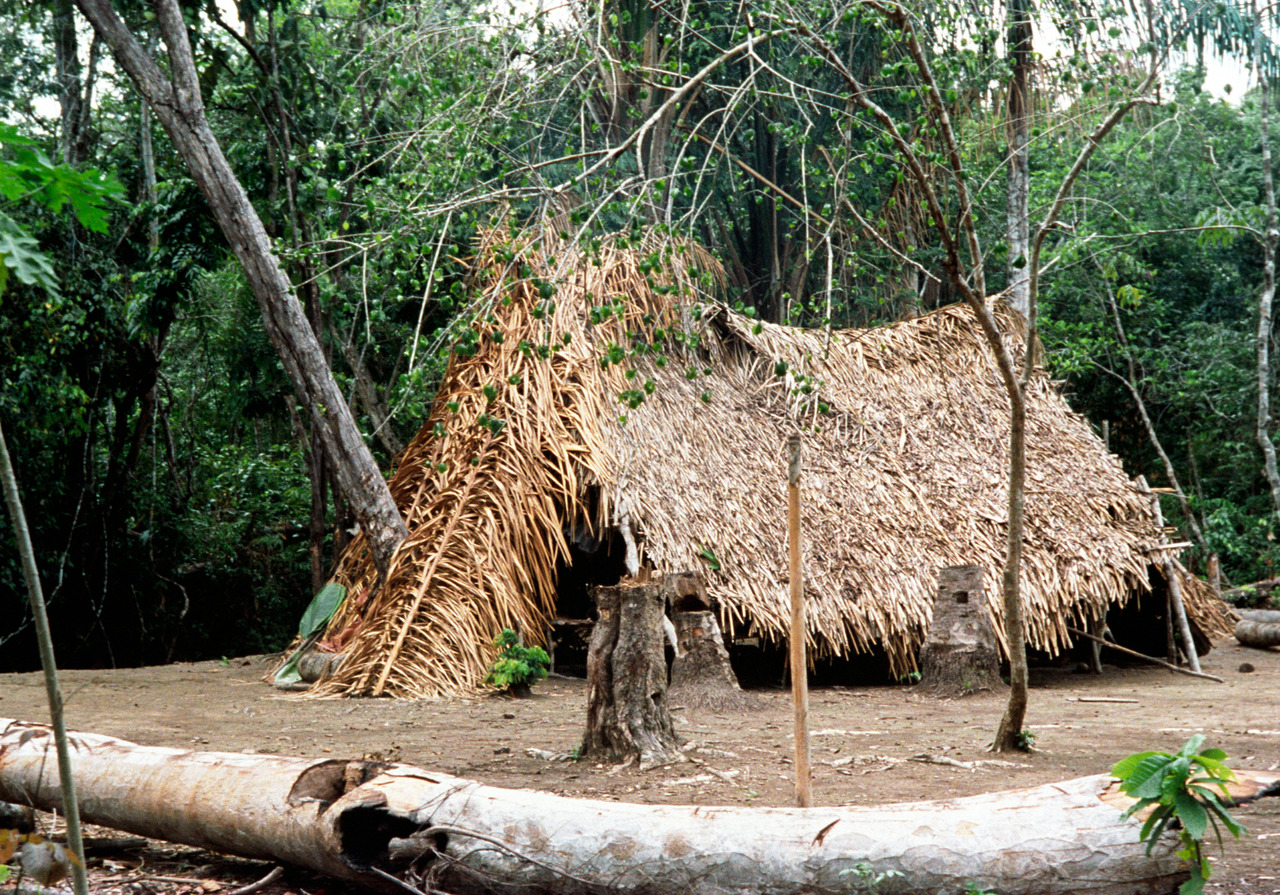 Дом индейца 6. Традиционные жилища индейцев Венесуэлы.