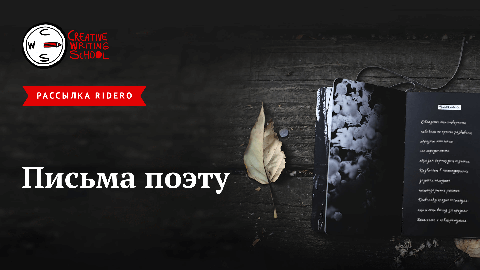 Письма поэту